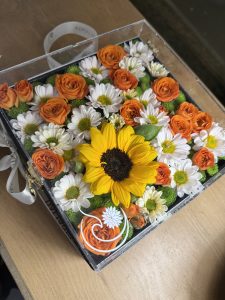 باکس گل آفتاب