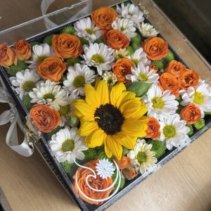 باکس گل آفتاب